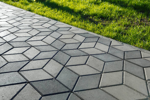 Best Driveway Paving Contractor  in North Oaks, MN